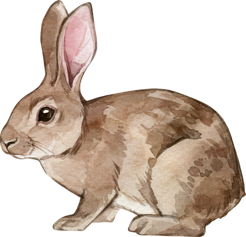 Watercolor illustration Farm animals Rabbit